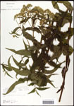 000060615-thumbnail.jpg