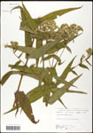 000060616-thumbnail.jpg