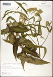 000060620-thumbnail.jpg