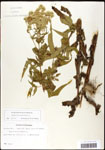 000060621-thumbnail.jpg