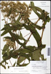 000060622-thumbnail.jpg