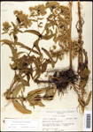 000060623-thumbnail.jpg