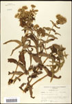 000060624-thumbnail.jpg