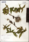 000060627-thumbnail.jpg
