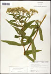 000060628-thumbnail.jpg
