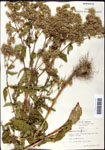 000060630-thumbnail.jpg