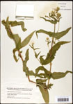 000060637-thumbnail.jpg