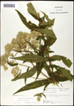 000060639-thumbnail.jpg