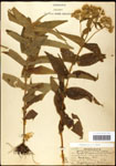 000060640-thumbnail.jpg