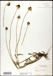 000060644-thumbnail.jpg