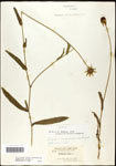 000060645-thumbnail.jpg