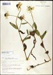 000060646-thumbnail.jpg