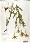 000060648-thumbnail.jpg