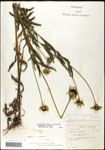 000060649-thumbnail.jpg