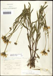 000060650-thumbnail.jpg