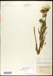 000060651-thumbnail.jpg