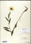 000060652-thumbnail.jpg
