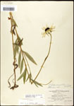 000060653-thumbnail.jpg