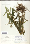 000060654-thumbnail.jpg