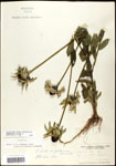 000060655-thumbnail.jpg