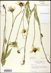000060657-thumbnail.jpg