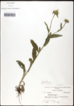 000060658-thumbnail.jpg