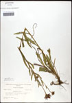 000060659-thumbnail.jpg