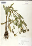 000060660-thumbnail.jpg