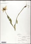 000060661-thumbnail.jpg