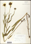 000060663-thumbnail.jpg