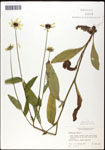 000060664-thumbnail.jpg
