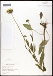 000060665-thumbnail.jpg