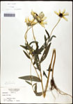 000060667-thumbnail.jpg