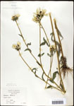 000060668-thumbnail.jpg