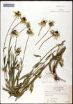 000060669-thumbnail.jpg