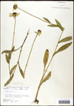 000060670-thumbnail.jpg