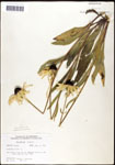 000060672-thumbnail.jpg