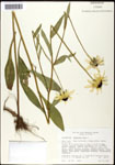 000060673-thumbnail.jpg