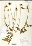 000060674-thumbnail.jpg