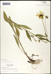 000060676-thumbnail.jpg