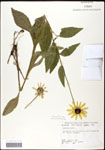 000060677-thumbnail.jpg