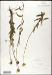 000060678-thumbnail.jpg