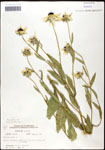 000060679-thumbnail.jpg