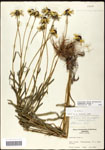 000060680-thumbnail.jpg
