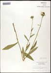 000060683-thumbnail.jpg