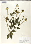 000060684-thumbnail.jpg