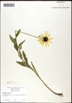 000060685-thumbnail.jpg