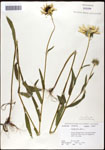 000060686-thumbnail.jpg