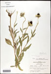 000060687-thumbnail.jpg