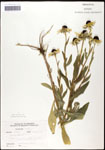 000060688-thumbnail.jpg